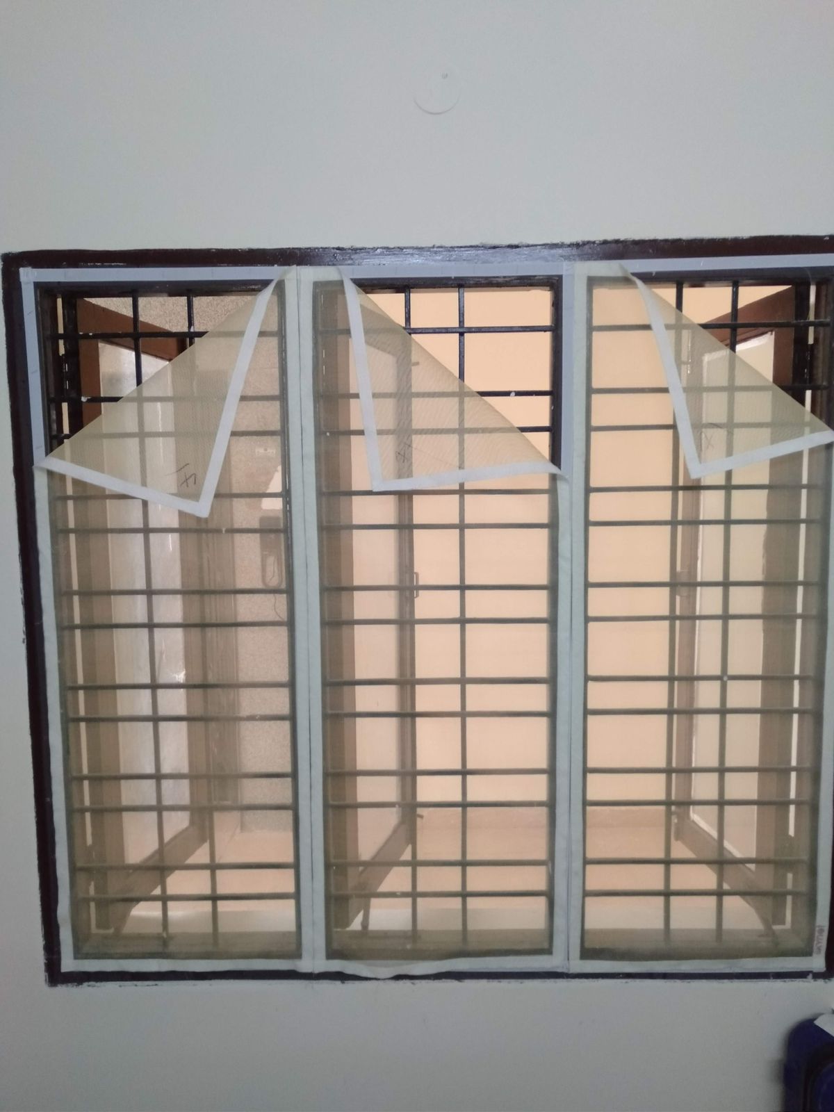 Window Mesh